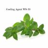 top sale cooling agent for e liquid malaysia ws23